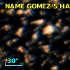 NAME GOMEZ'S HAMBURGER