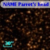 NAME Parrot's head