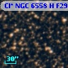 Cl* NGC 6558      H F29