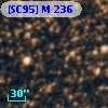 [SC95] M 236