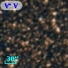 V* V4219 Sgr