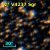 V* V4237 Sgr