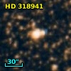 HD 318941