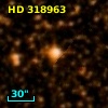 HD 318963