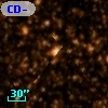 CD-33 12731
