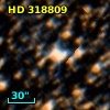 HD 318809
