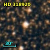 HD 318920