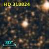 HD 318824