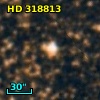 HD 318813
