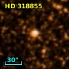 HD 318855