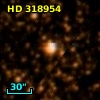 HD 318954