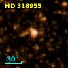 HD 318955