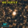 HD 318713