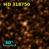 HD 318750
