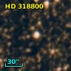 HD 318800