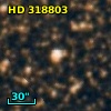HD 318803