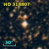 HD 318807