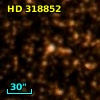 HD 318852