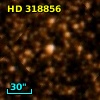 HD 318856