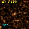 HD 318873