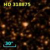 HD 318875