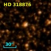 HD 318876