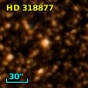 HD 318877