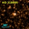 HD 318884