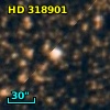 HD 318901