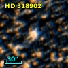 HD 318902