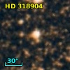 HD 318904