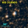 HD 318905