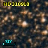 HD 318918