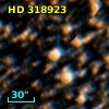 HD 318923