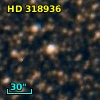 HD 318936