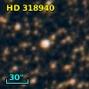 HD 318940