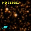 HD 318951