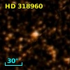 HD 318960