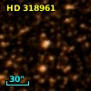 HD 318961