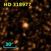 HD 318977