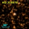 HD 318978