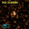 HD 318980