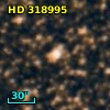 HD 318995