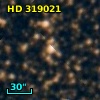 HD 319021