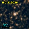 HD 319036