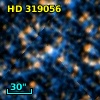 HD 319056