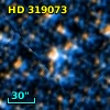 HD 319073