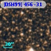 [DSH99] 456-31