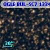 OGLE BUL-SC7 133446