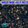 OGLE BUL-SC7 362336